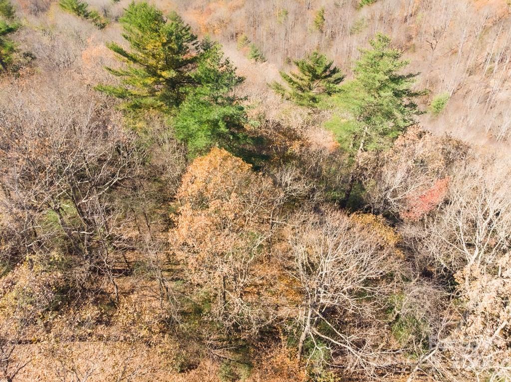 Tbd Continental Divide Road, Unit C3 Spruce Pine, NC 28777 - Photo 17 of 31