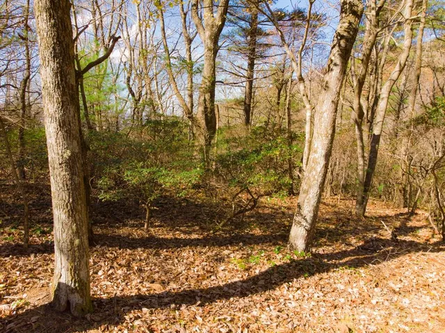 $34,000 | Tbd Continental Divide Road, Unit C3, Spruce Pine, NC 28777