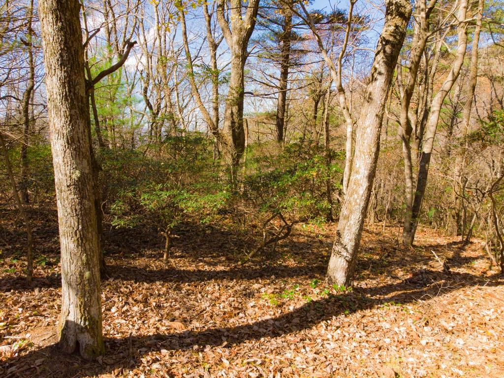 Tbd Continental Divide Road, Unit C3 Spruce Pine, NC 28777 - Photo 21 of 31