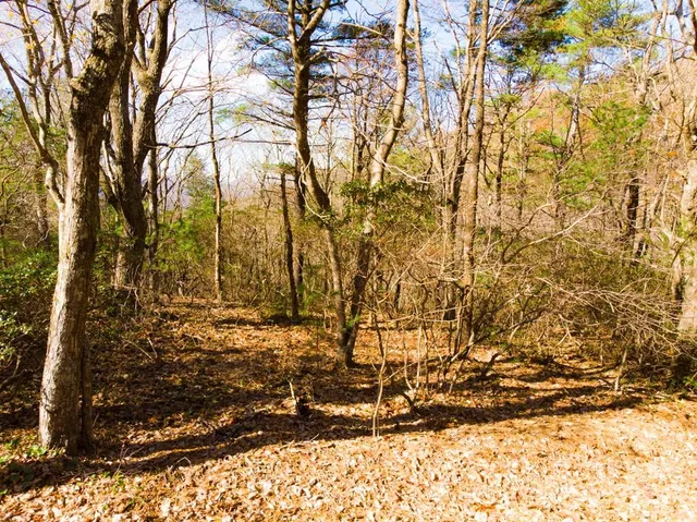 $34,000 | Tbd Continental Divide Road, Unit C3, Spruce Pine, NC 28777