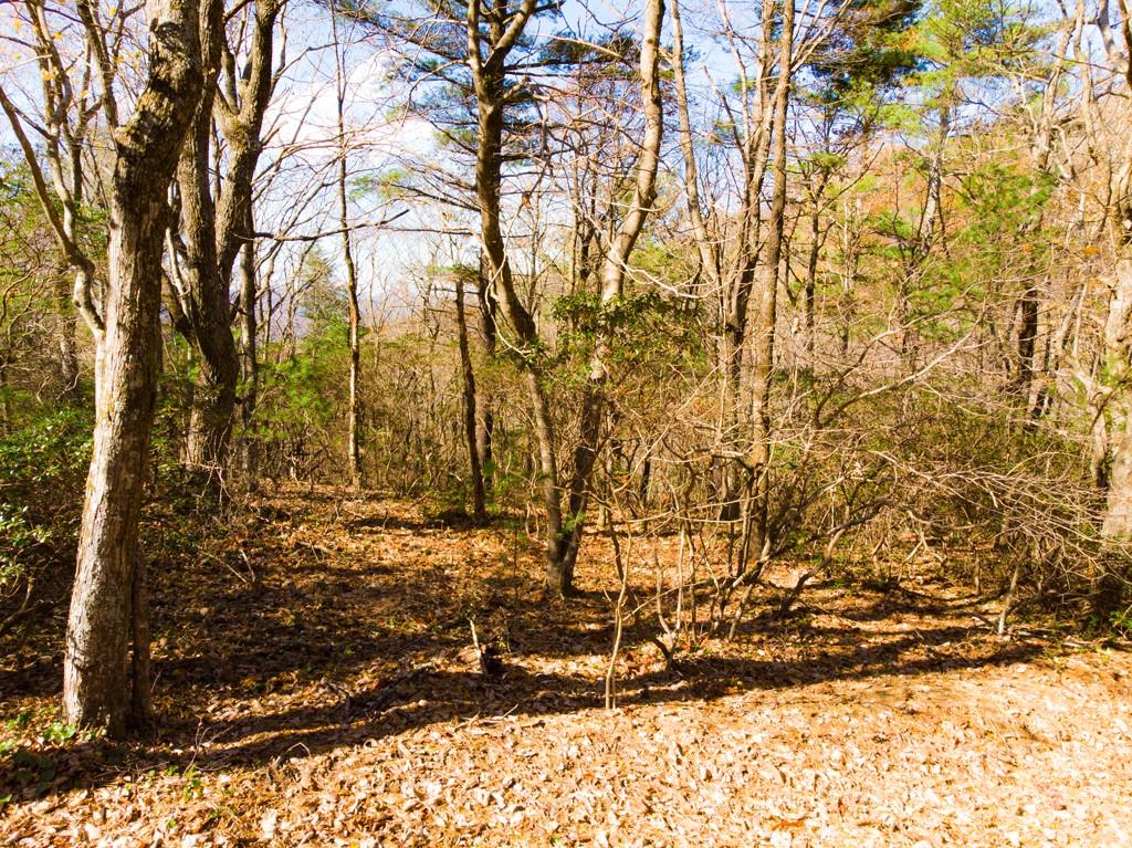 Tbd Continental Divide Road, Unit C3 Spruce Pine, NC 28777 - Photo 22 of 31