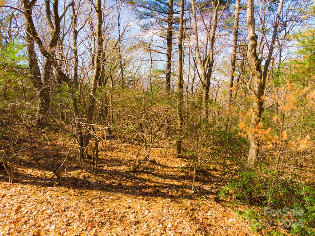 Tbd Continental Divide Road, Unit C3 Spruce Pine, NC 28777 - Photo 23 of 31