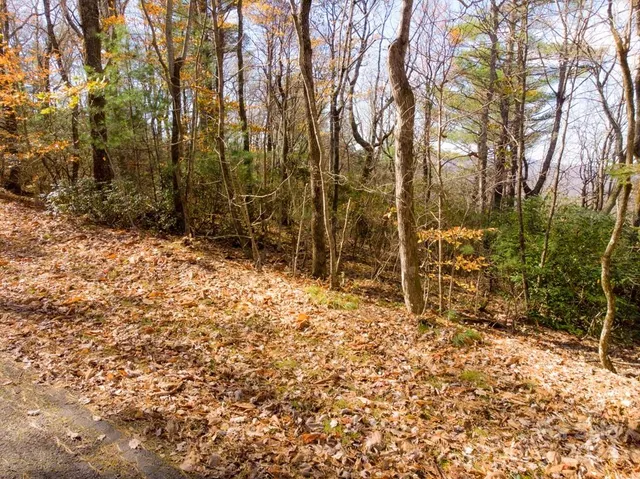 $34,000 | Tbd Continental Divide Road, Unit C3, Spruce Pine, NC 28777
