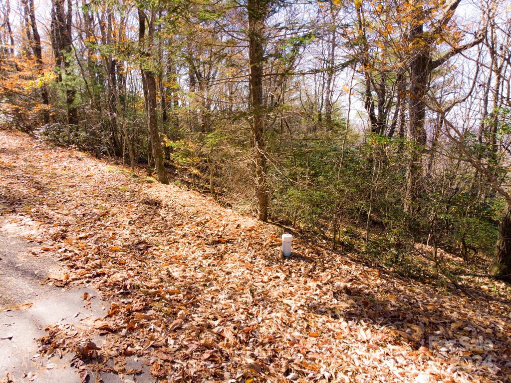 Tbd Continental Divide Road, Unit C3 Spruce Pine, NC 28777 - Photo 25 of 31