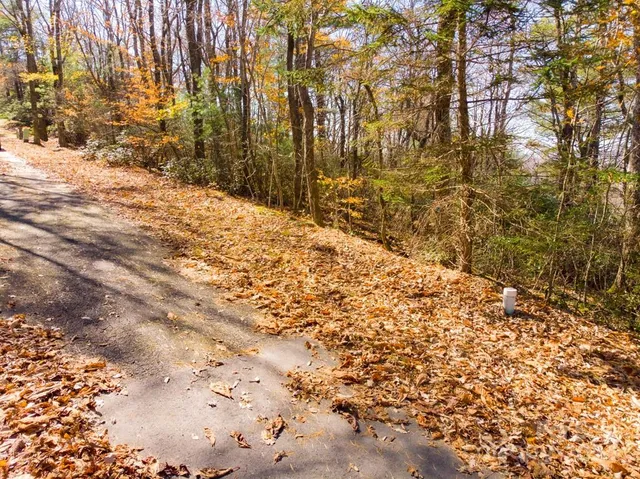 $34,000 | Tbd Continental Divide Road, Unit C3, Spruce Pine, NC 28777