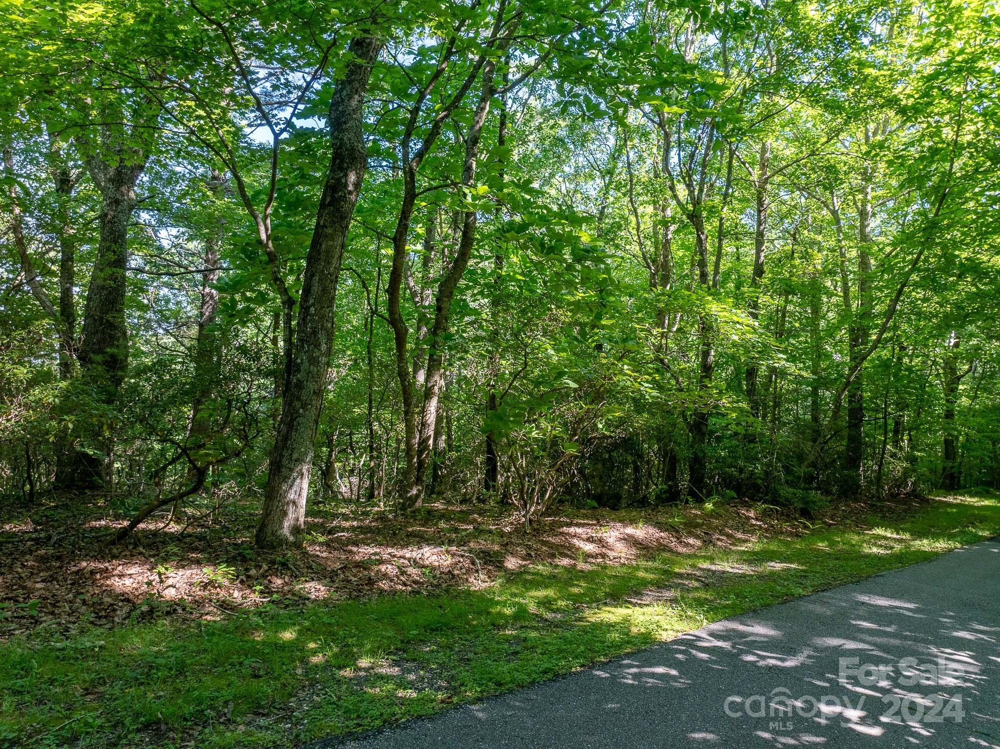 Tbd Continental Divide Road, Unit C3 Spruce Pine, NC 28777 - Photo 4 of 31