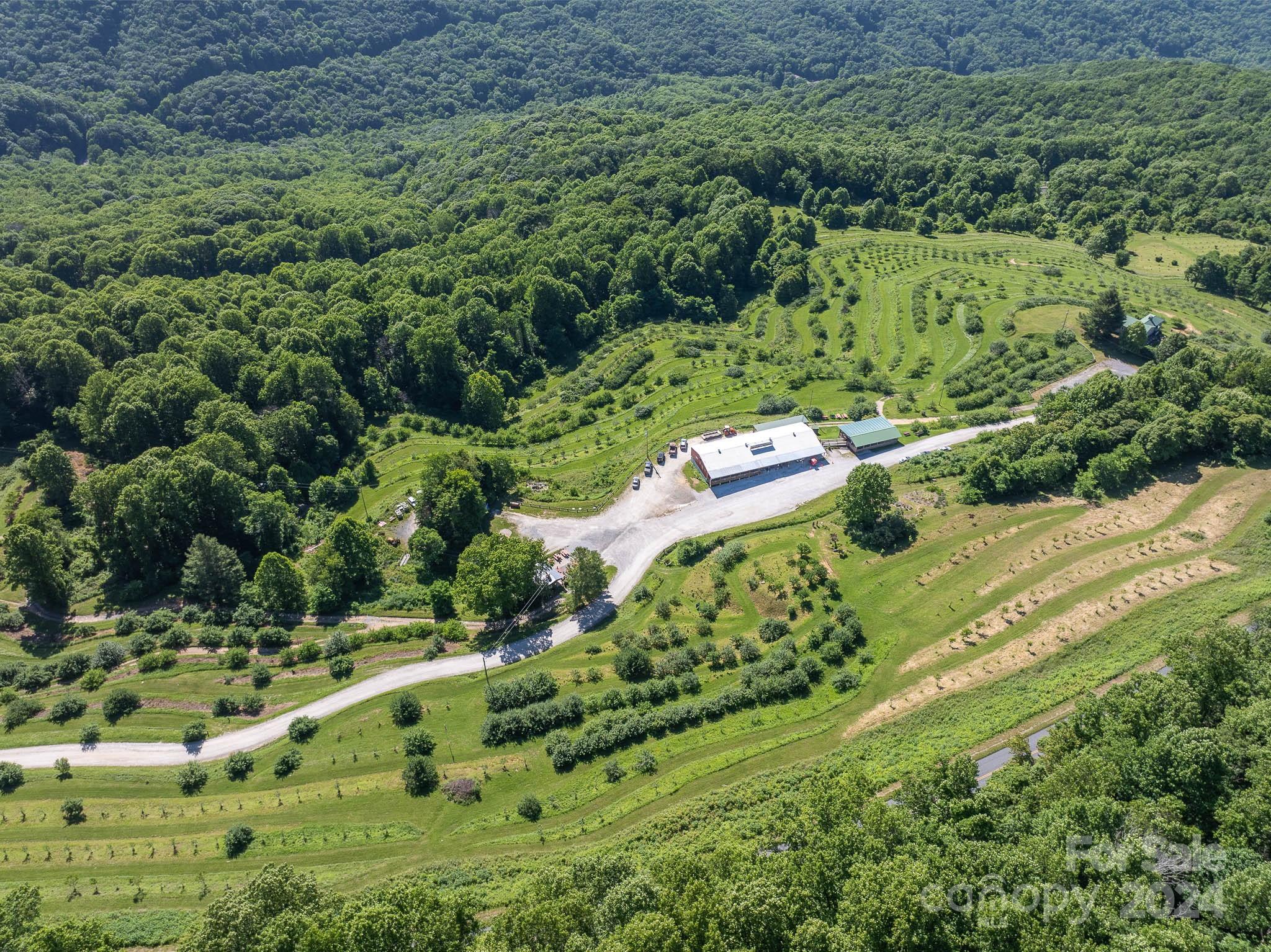 Tbd Continental Divide Road, Unit C3 Spruce Pine, NC 28777 - Photo 5 of 31