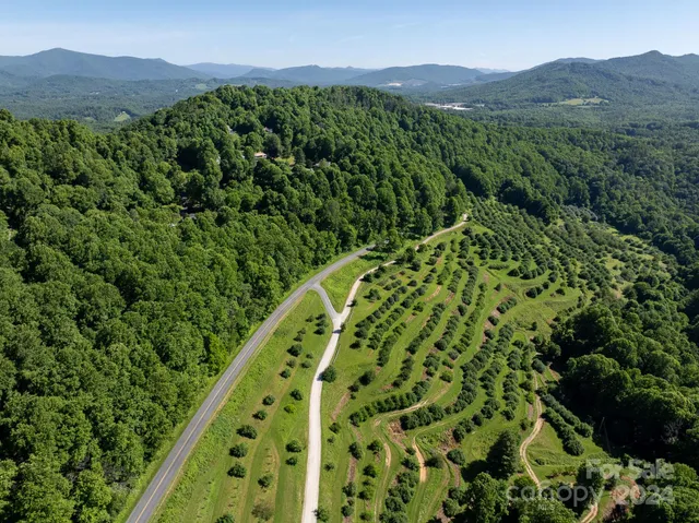 $34,000 | Tbd Continental Divide Road, Unit C3, Spruce Pine, NC 28777