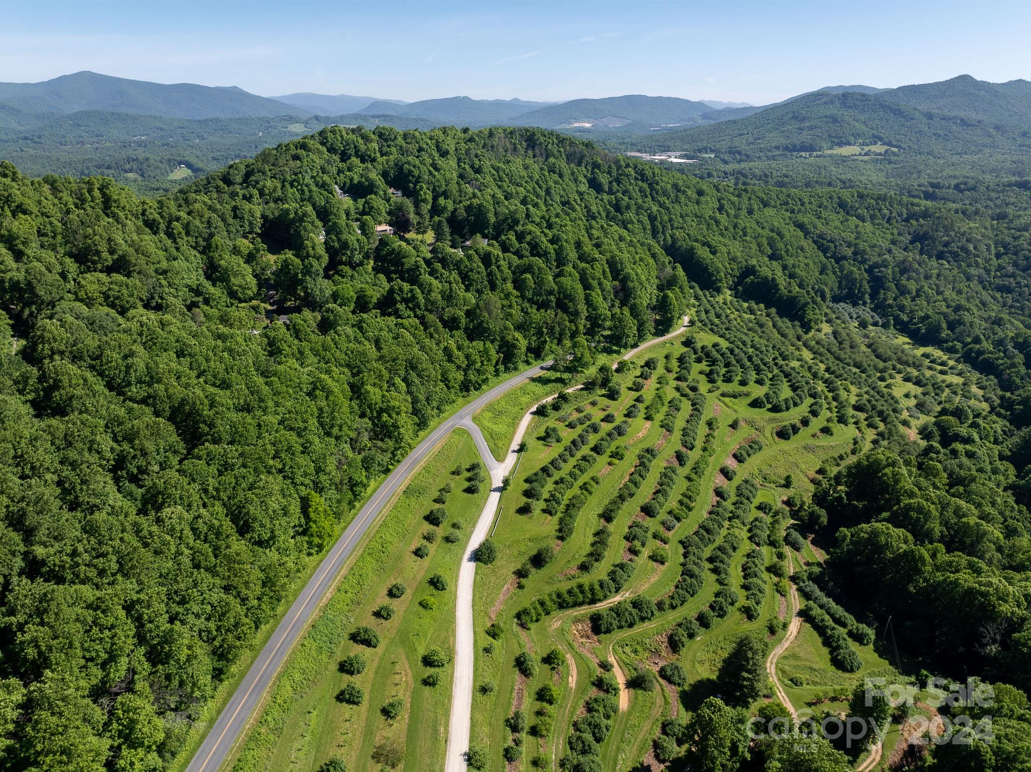 Tbd Continental Divide Road, Unit C3 Spruce Pine, NC 28777 - Photo 7 of 31