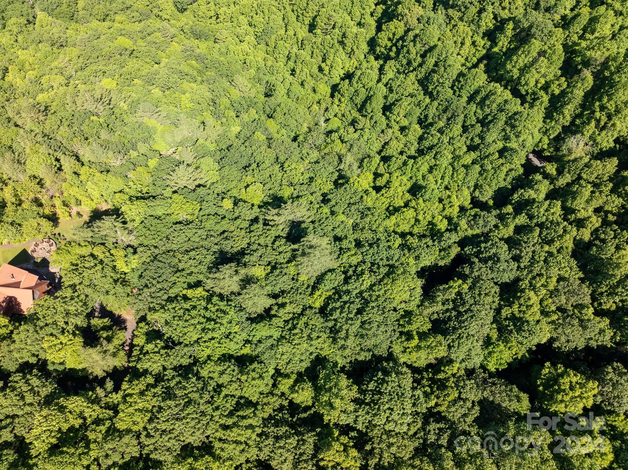 Tbd Continental Divide Road, Unit C3 Spruce Pine, NC 28777 - Photo 9 of 31
