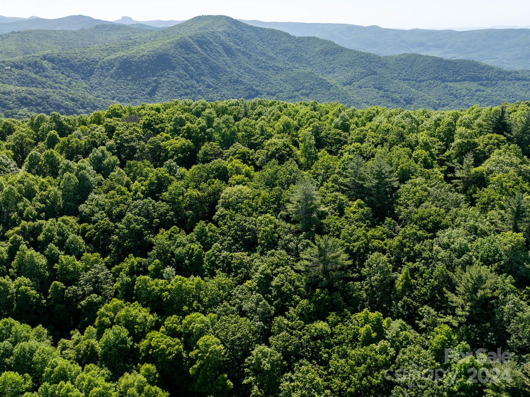 Tbd Continental Divide Road, Unit C3 Spruce Pine, NC 28777 - Photo 10 of 31