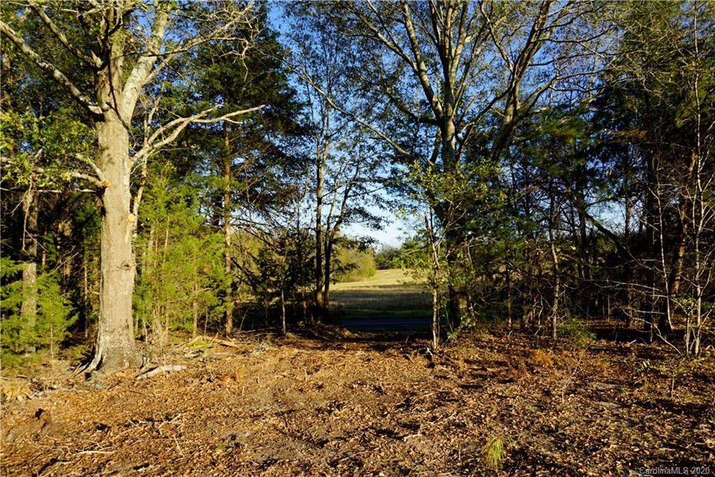 3.2-ac 3.2-ac Holly Road, Unit 4A Clover, SC 29710 - Photo 21 of 22