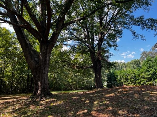 237 Buck Creek Road Chesnee, SC 29323 - Photo 10 of 32