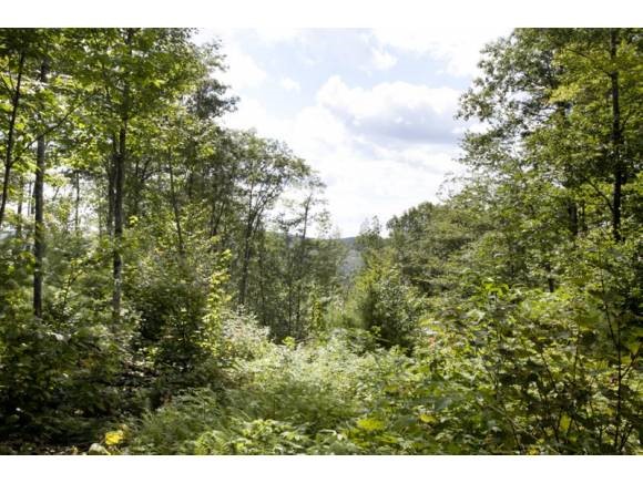 0 Lary Road Madison, NH 03849 - Photo 1 of 1