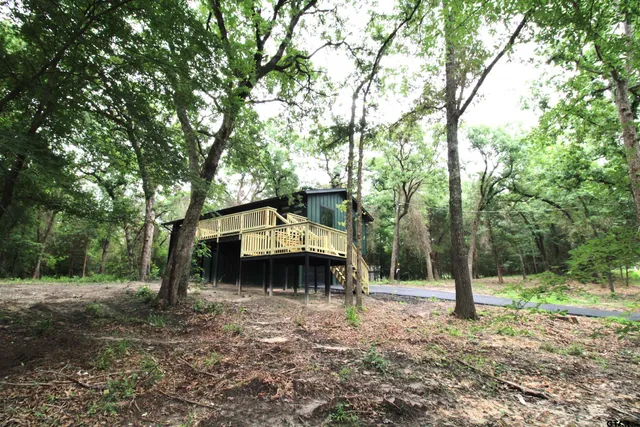 a view of a house with a tree in the forest