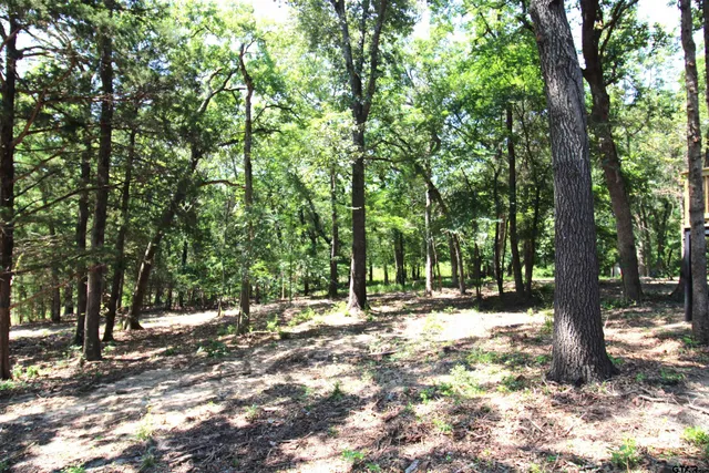 a large tree in a yard