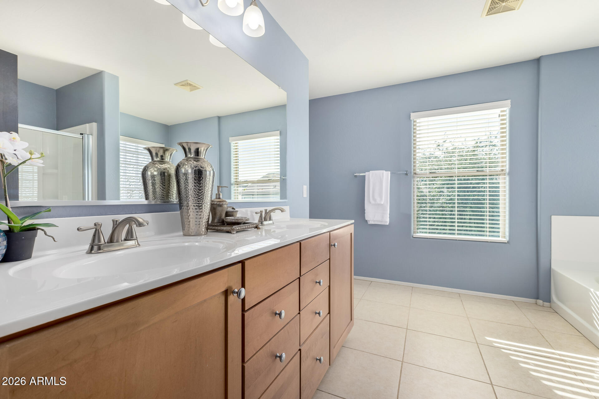 3535 East Terrace Avenue Gilbert, AZ 85234 - Photo 29 of 56 a bathroom with a sink and a mirror