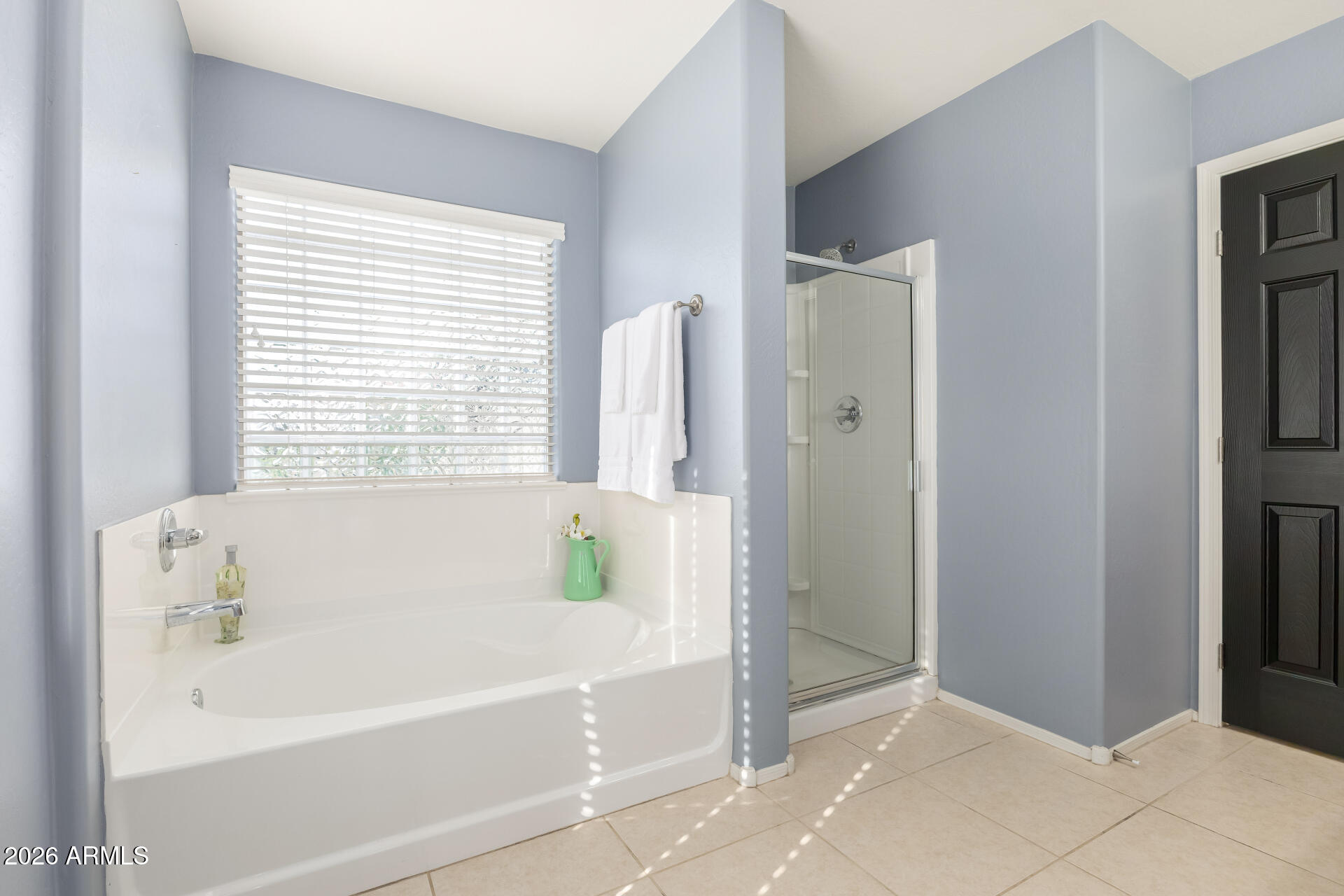 3535 East Terrace Avenue Gilbert, AZ 85234 - Photo 30 of 56 a bathroom with a bathtub and a shower