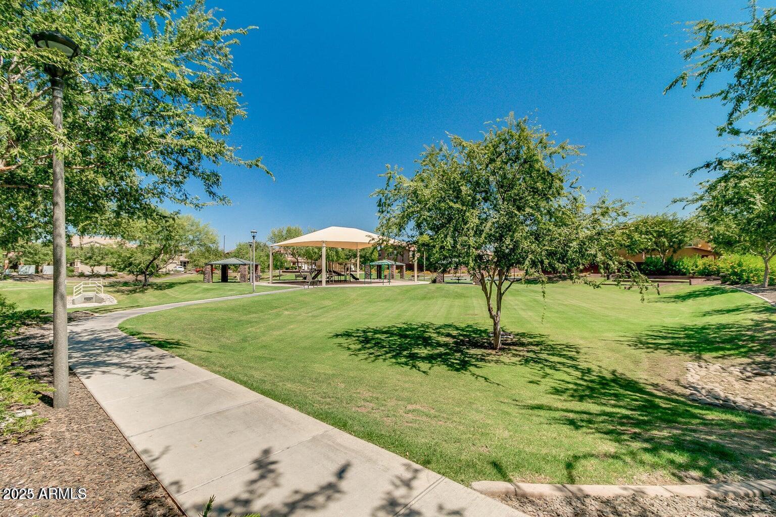 3535 East Terrace Avenue Gilbert, AZ 85234 - Photo 52 of 56 a view of a garden with an tree