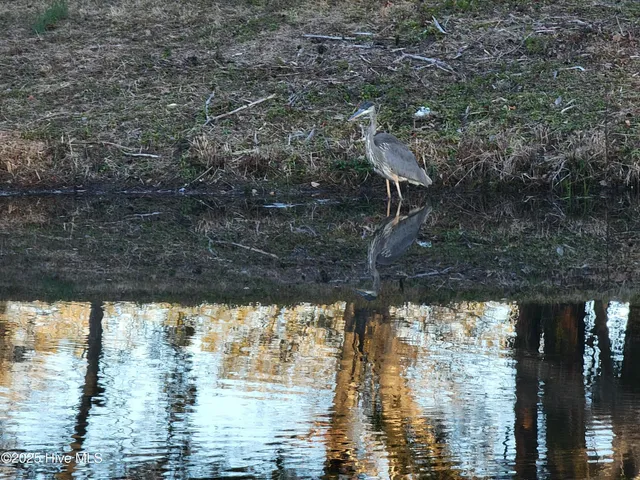 $268,500 | 820 Magnolia Drive, Sunset Beach, NC 28468