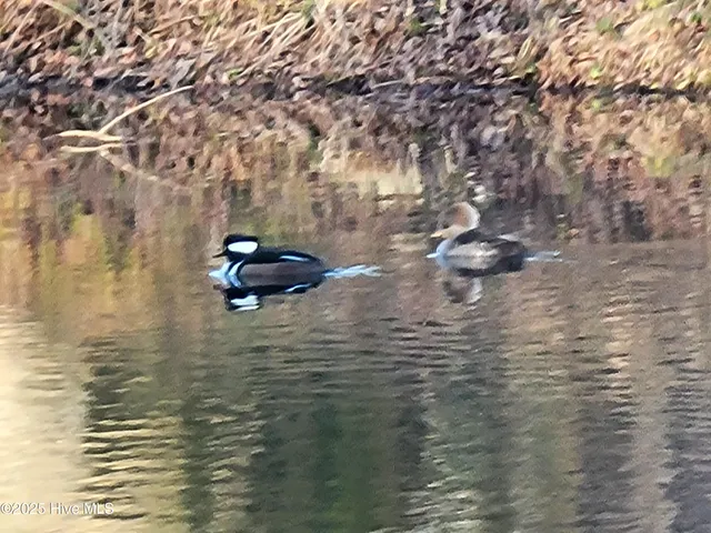 $268,500 | 820 Magnolia Drive, Sunset Beach, NC 28468