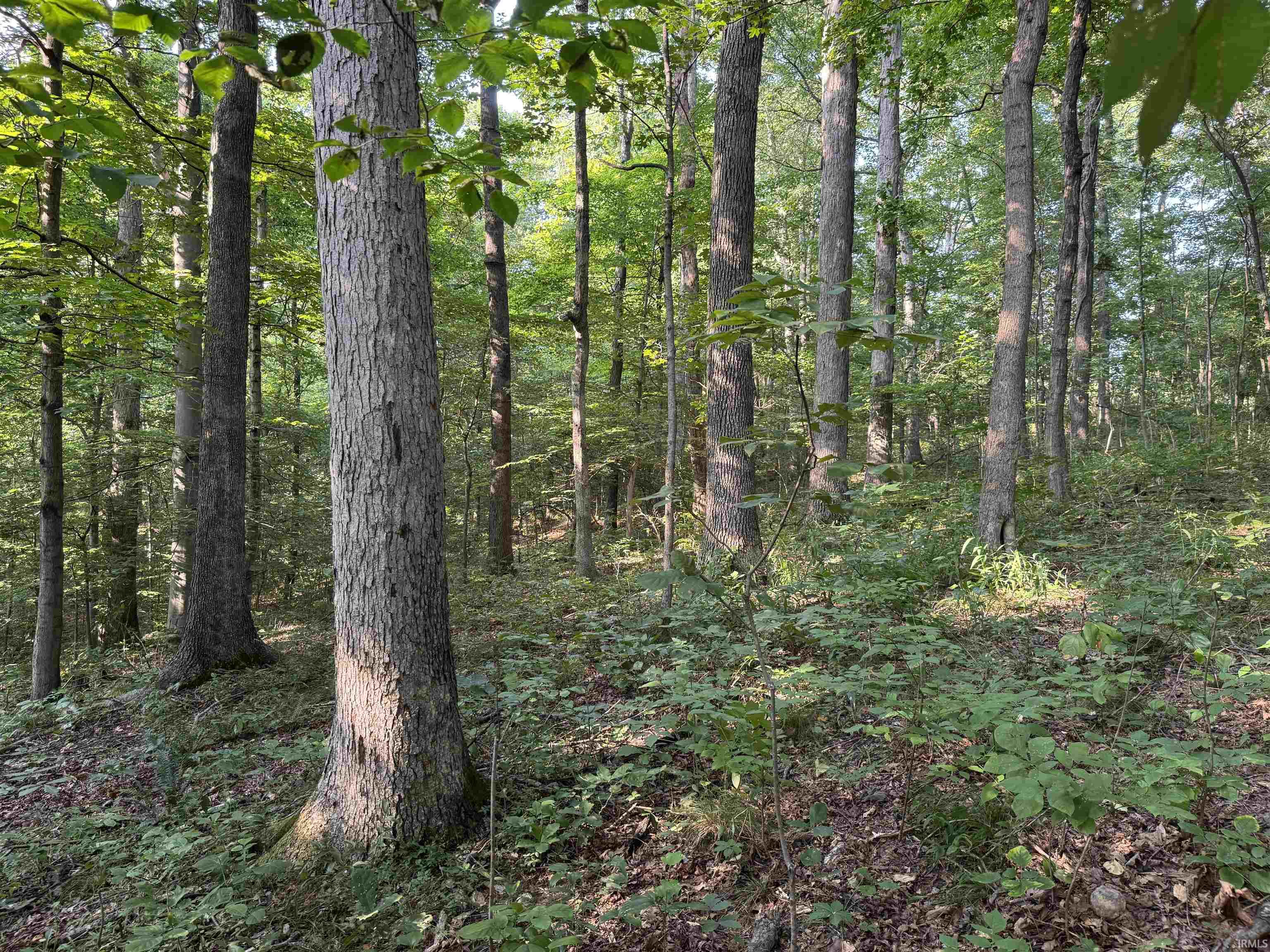 Brushy Fork Road Tell City, IN 47586 - Photo 25 of 47 Gallery Image 25