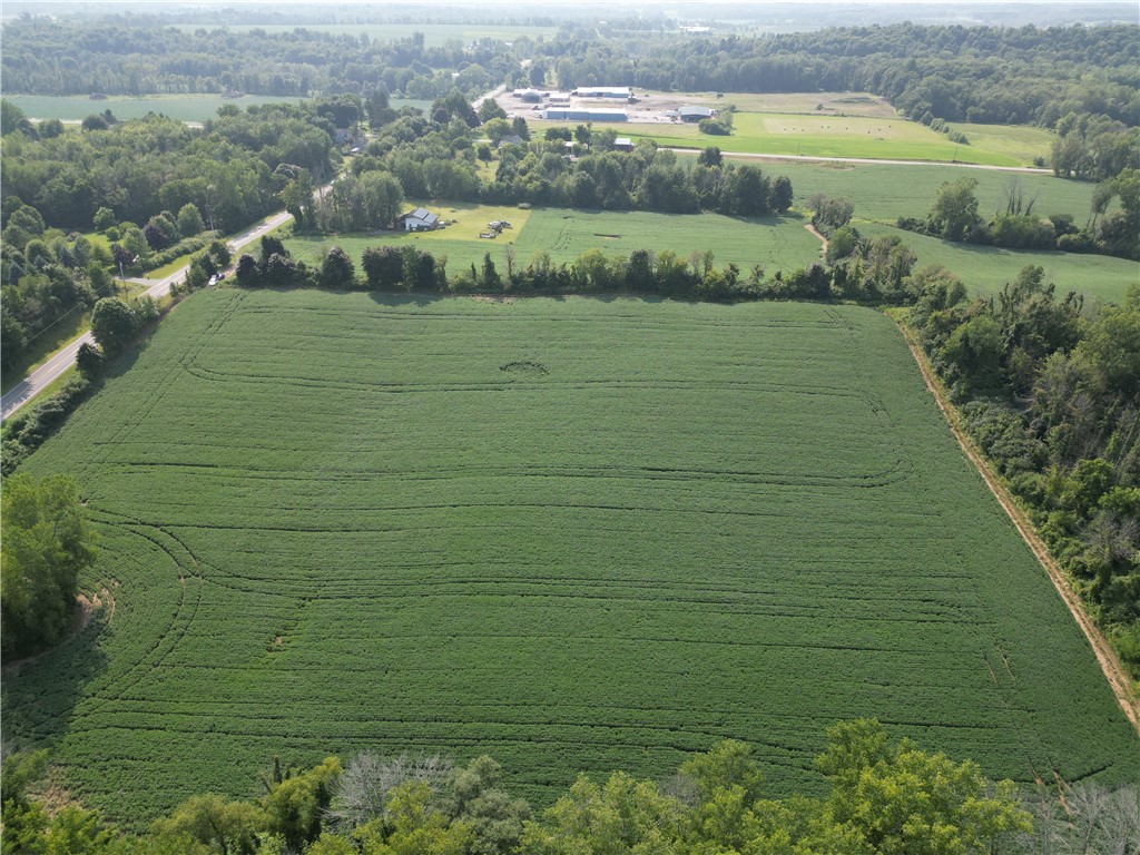 0 Minsteed Road Marion, NY 14505 - Photo 11 of 25