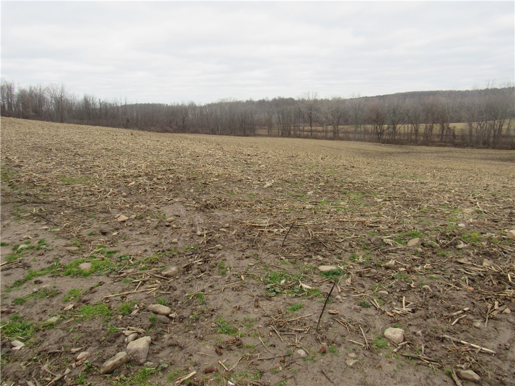 0 Minsteed Road Marion, NY 14505 - Photo 13 of 25