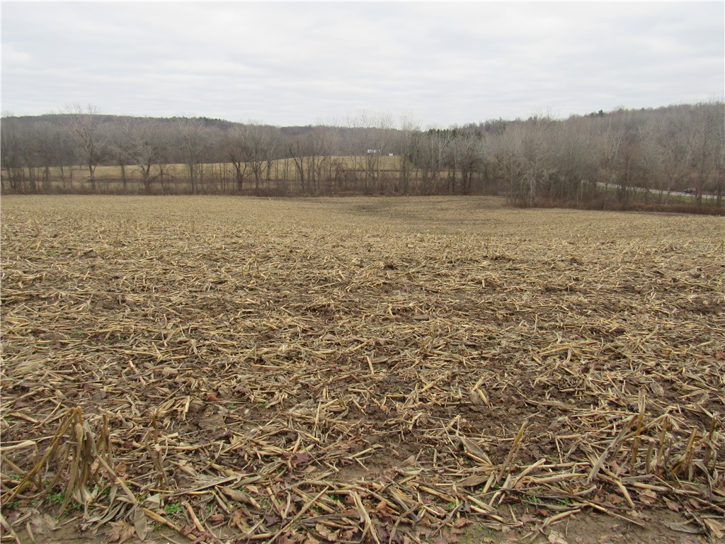 0 Minsteed Road Marion, NY 14505 - Photo 14 of 25