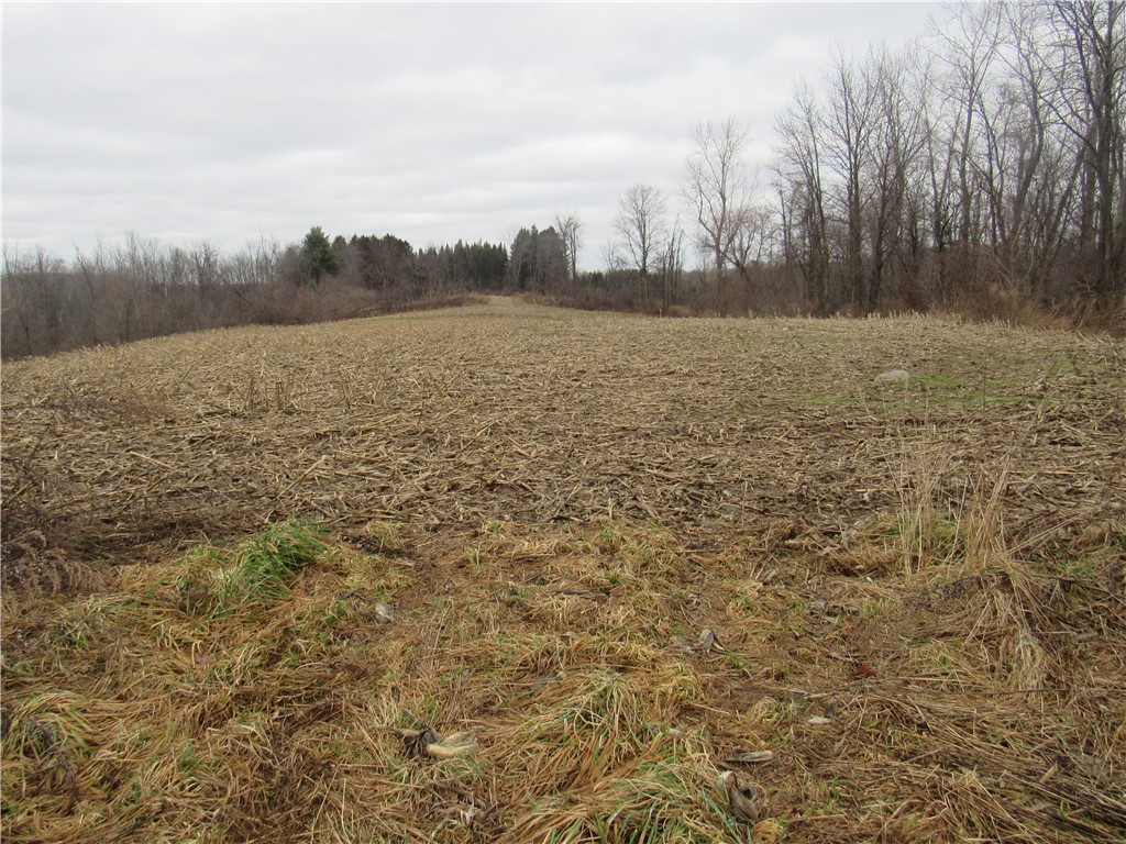 0 Minsteed Road Marion, NY 14505 - Photo 15 of 25