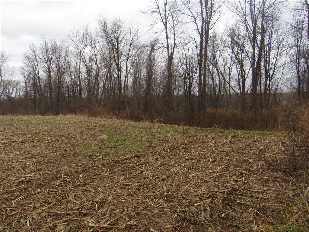 0 Minsteed Road Marion, NY 14505 - Photo 16 of 25