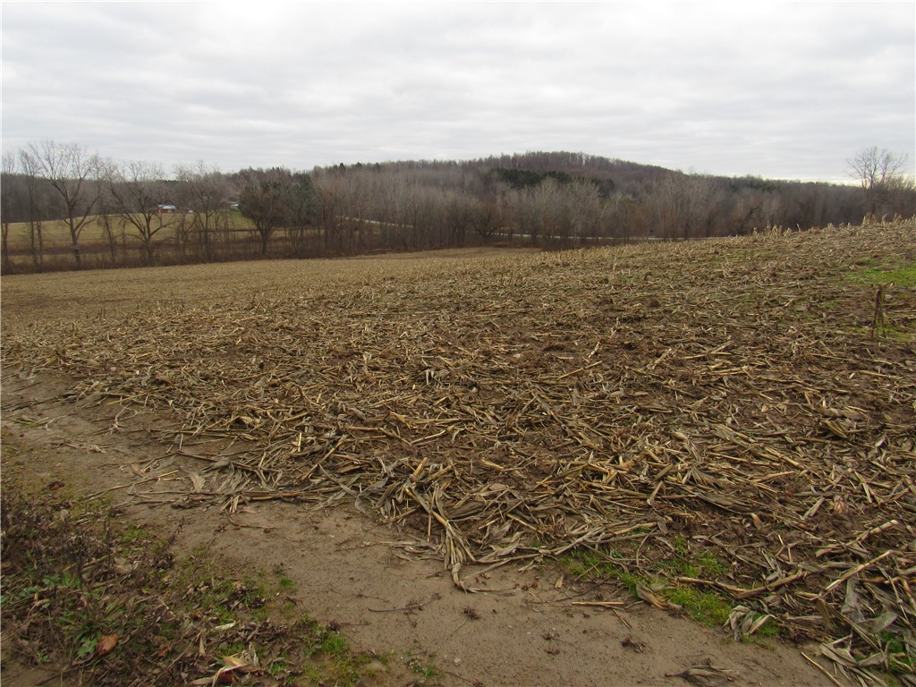 0 Minsteed Road Marion, NY 14505 - Photo 17 of 25