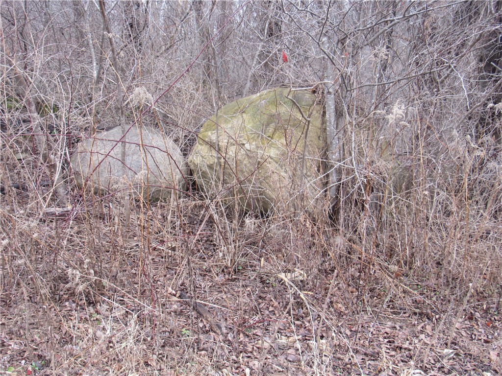 0 Minsteed Road Marion, NY 14505 - Photo 18 of 25