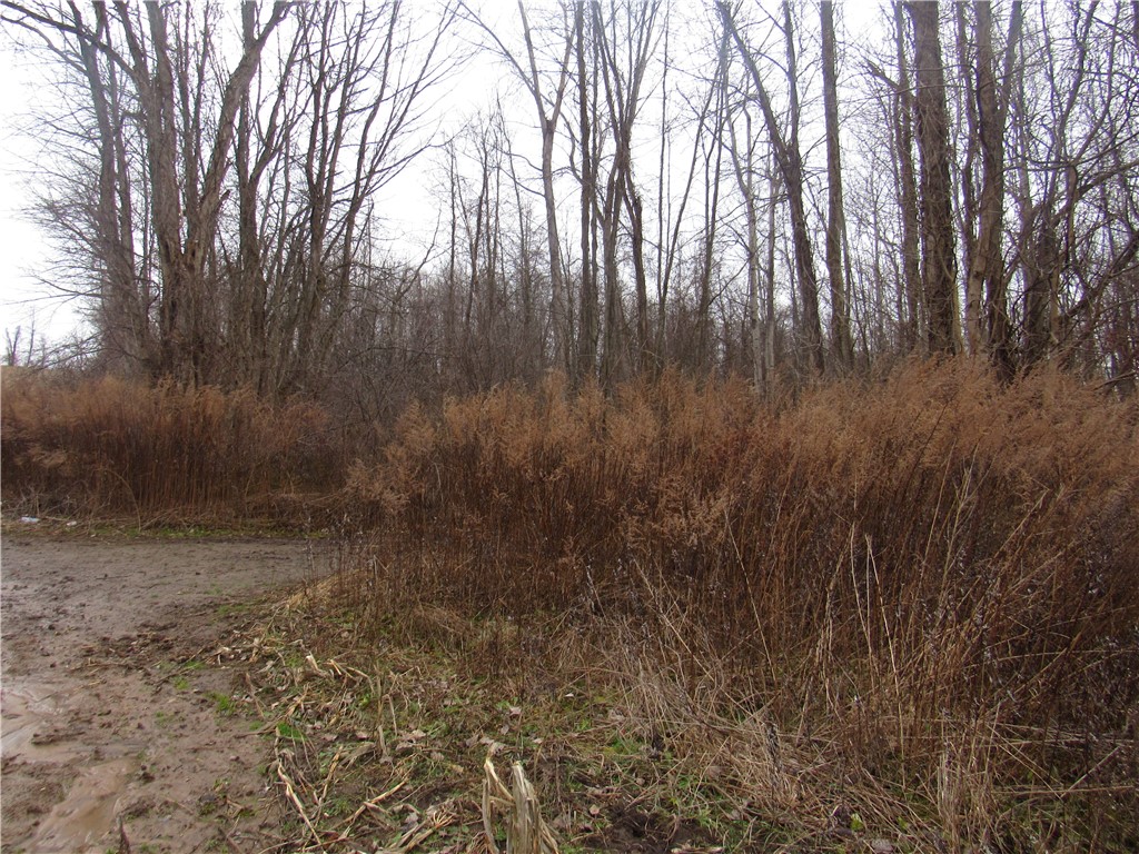 0 Minsteed Road Marion, NY 14505 - Photo 20 of 25