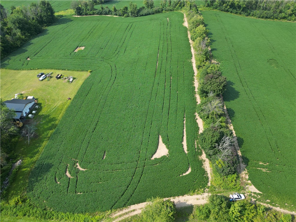 0 Minsteed Road Marion, NY 14505 - Photo 2 of 25