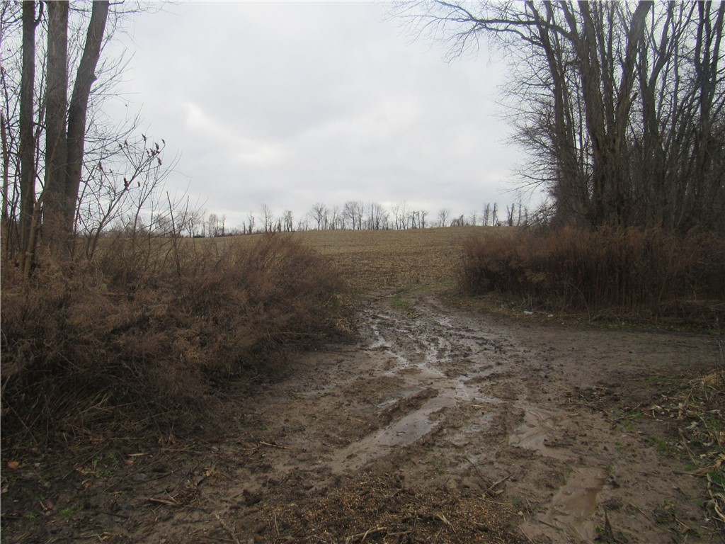 0 Minsteed Road Marion, NY 14505 - Photo 21 of 25