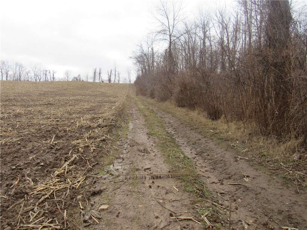 0 Minsteed Road Marion, NY 14505 - Photo 22 of 25