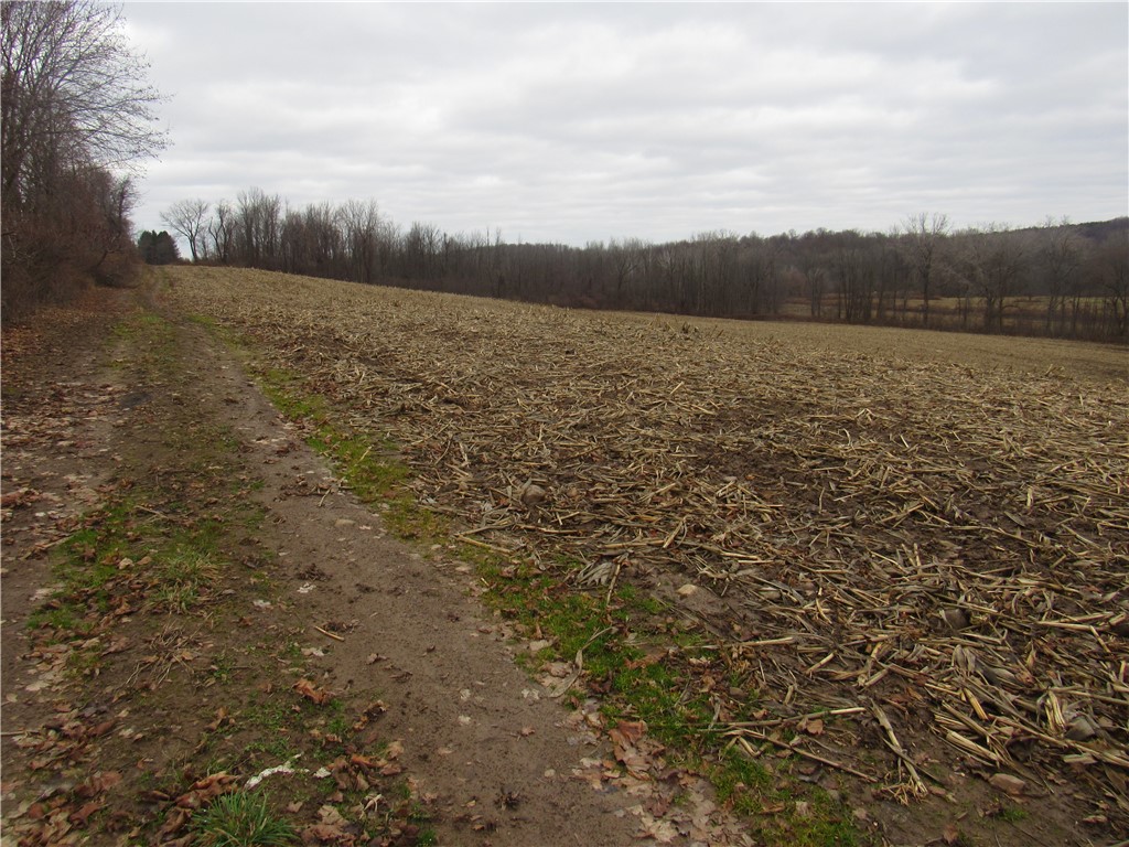 0 Minsteed Road Marion, NY 14505 - Photo 25 of 25