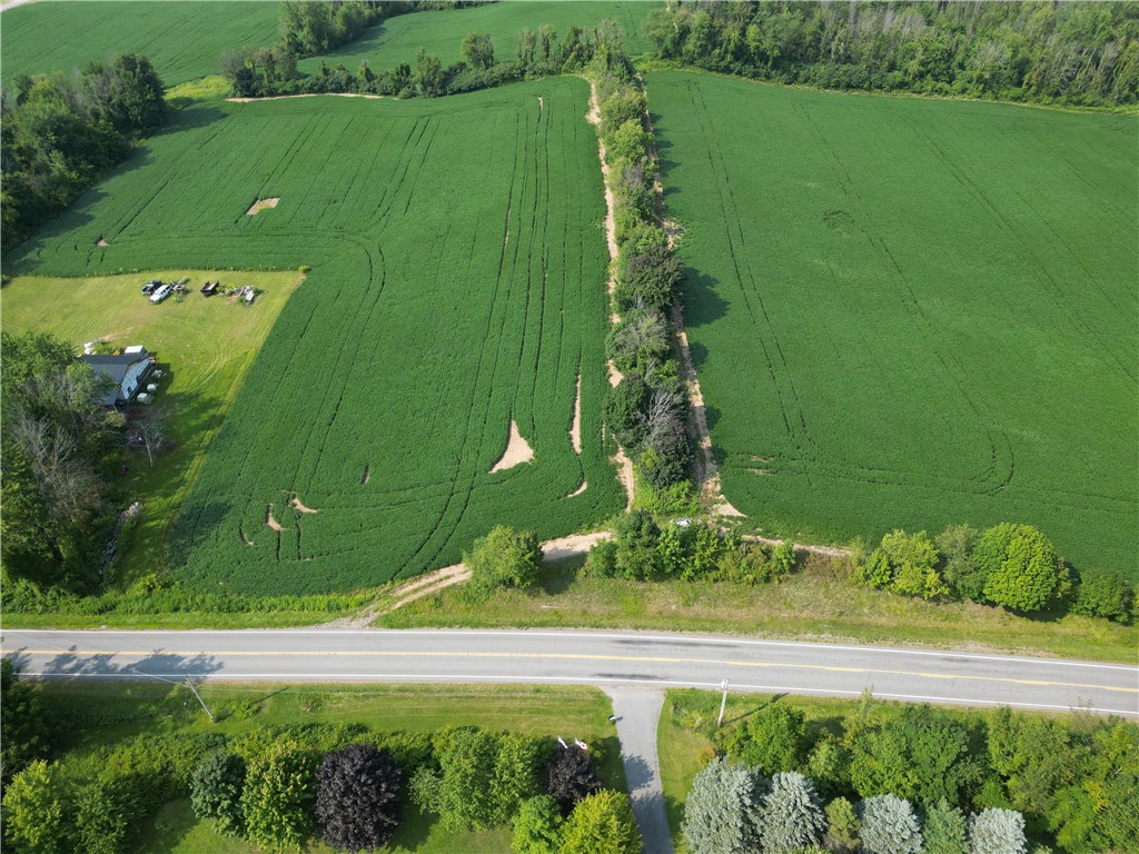 0 Minsteed Road Marion, NY 14505 - Photo 3 of 25