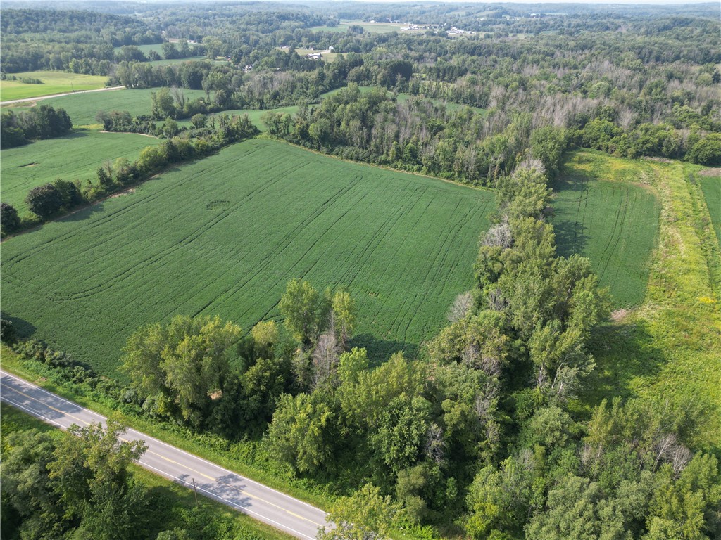 0 Minsteed Road Marion, NY 14505 - Photo 4 of 25