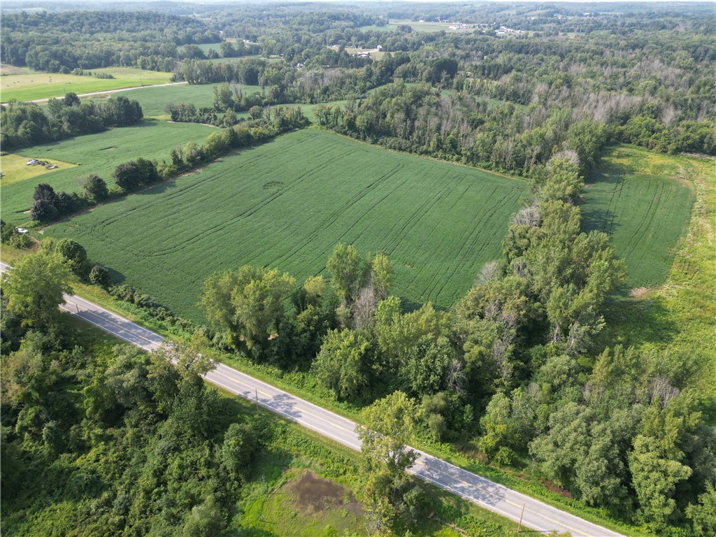 0 Minsteed Road Marion, NY 14505 - Photo 5 of 25