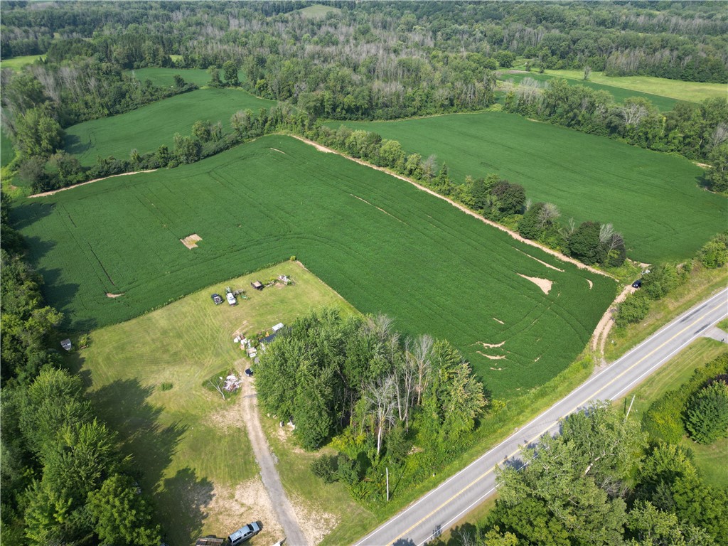 0 Minsteed Road Marion, NY 14505 - Photo 6 of 25