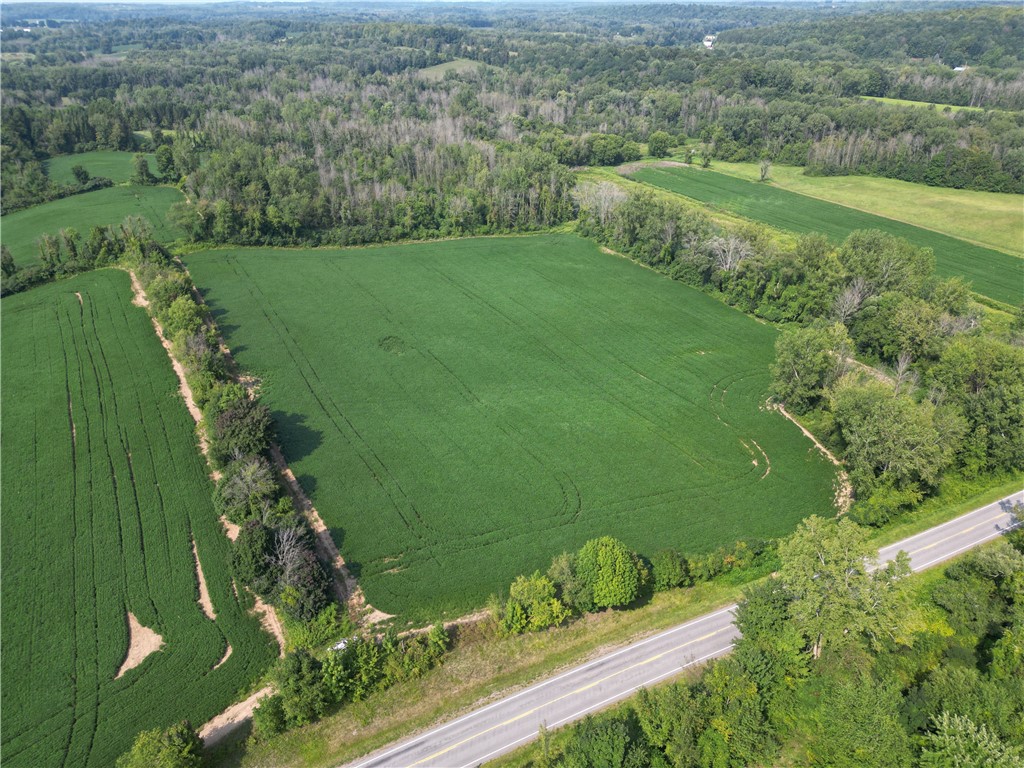 0 Minsteed Road Marion, NY 14505 - Photo 7 of 25