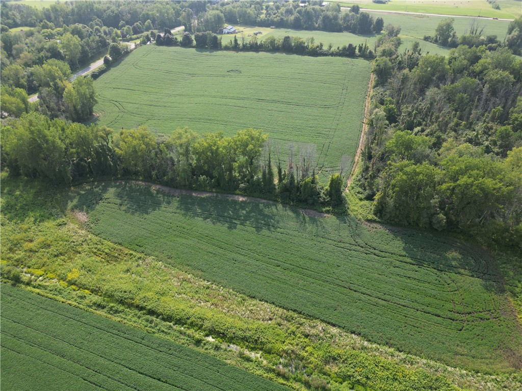 0 Minsteed Road Marion, NY 14505 - Photo 9 of 25