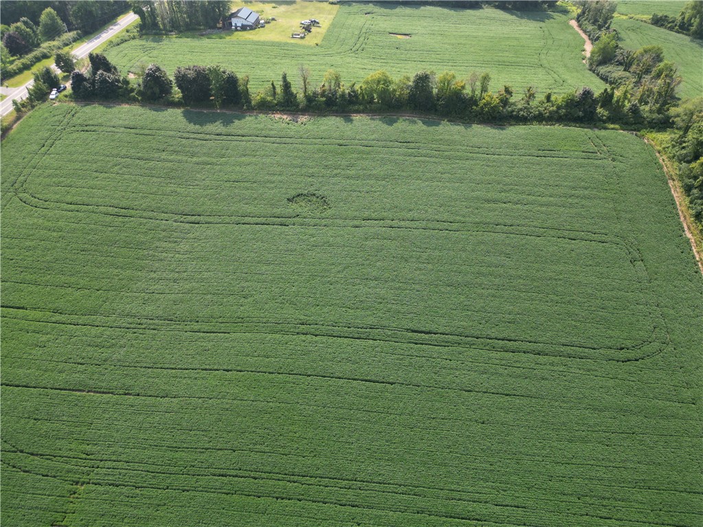 0 Minsteed Road Marion, NY 14505 - Photo 10 of 25