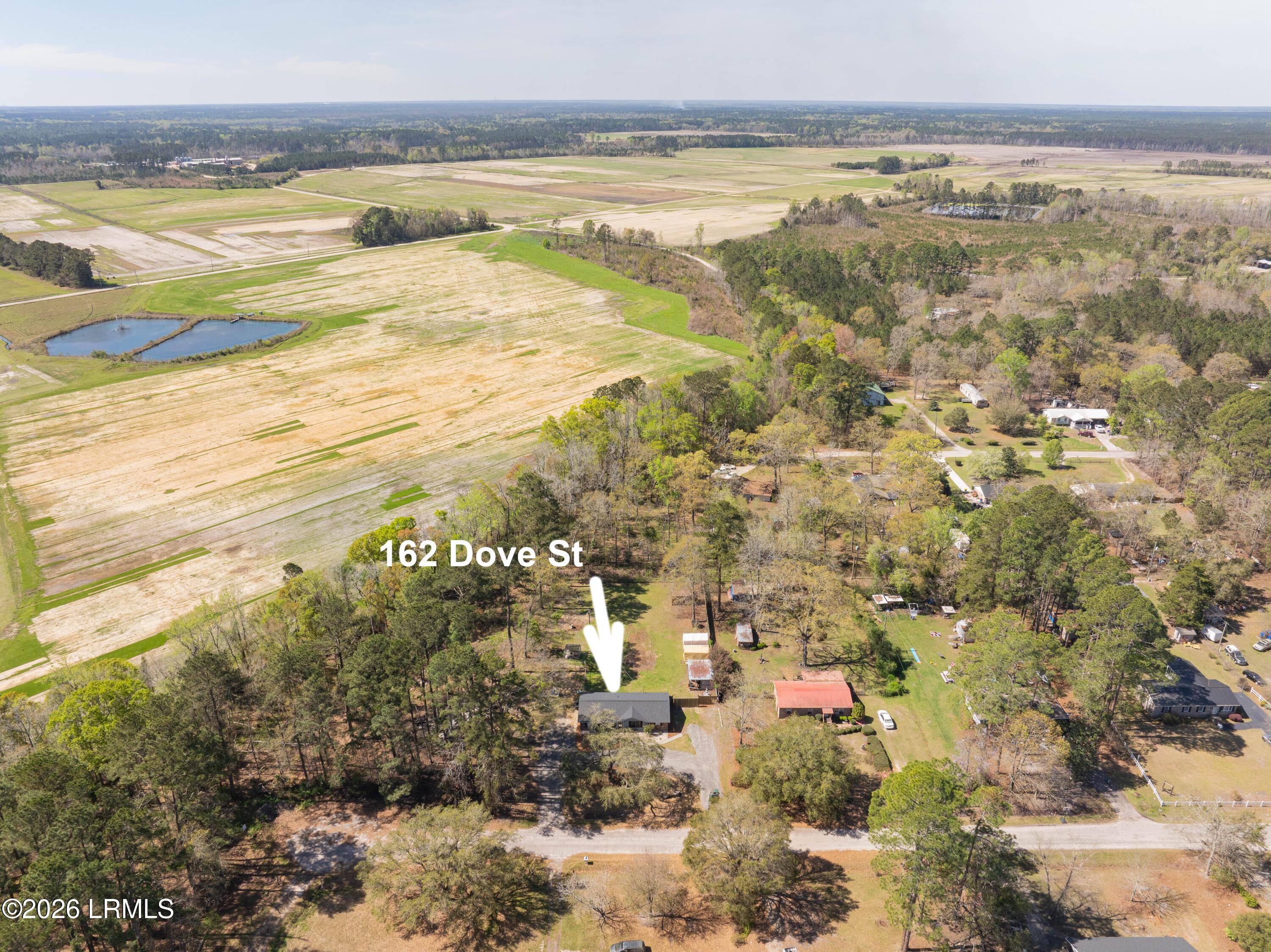 162 Dove Street Ridgeland, SC 29936 - Photo 41 of 51 162 Dove Drone-18