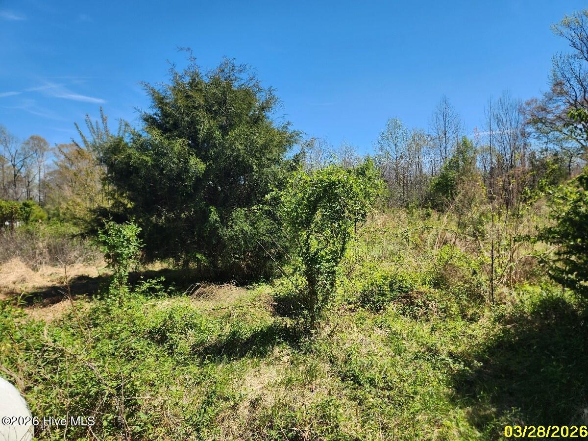 649 Willeyton Road Gates, NC 27937 - Photo 11 of 20 back yard