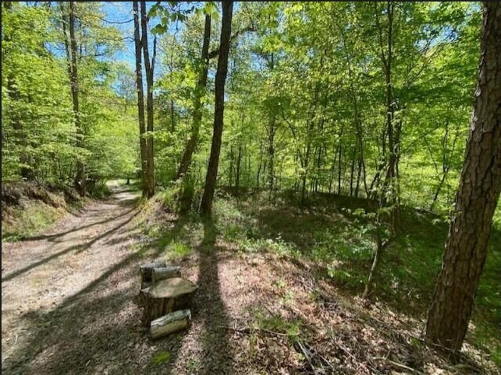 9999 Sleepy Holw Road Livingston, KY 40445 - Photo 13 of 19 Screenshot_20210728-230445_Flexmls Pro