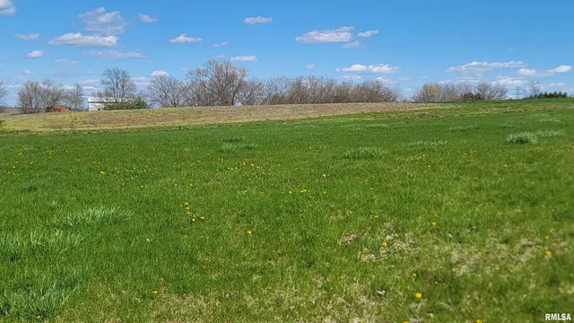 $12,250 | Lot 19 Veterans Drive, Princeville, IL 61559