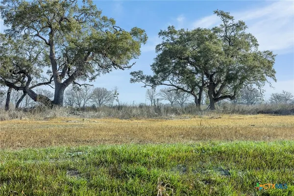 a view of a lake from a yard